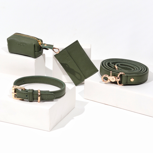Jade Green Dog Collar & Leash Set
