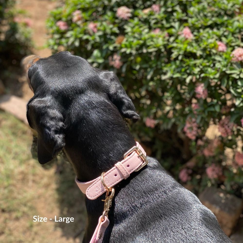 Blush Dog Collar