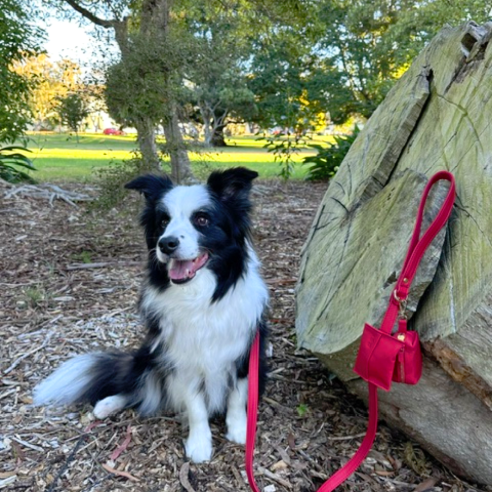 Red Dog waste Bag Holder