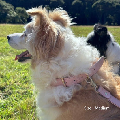 Blush Dog Collar