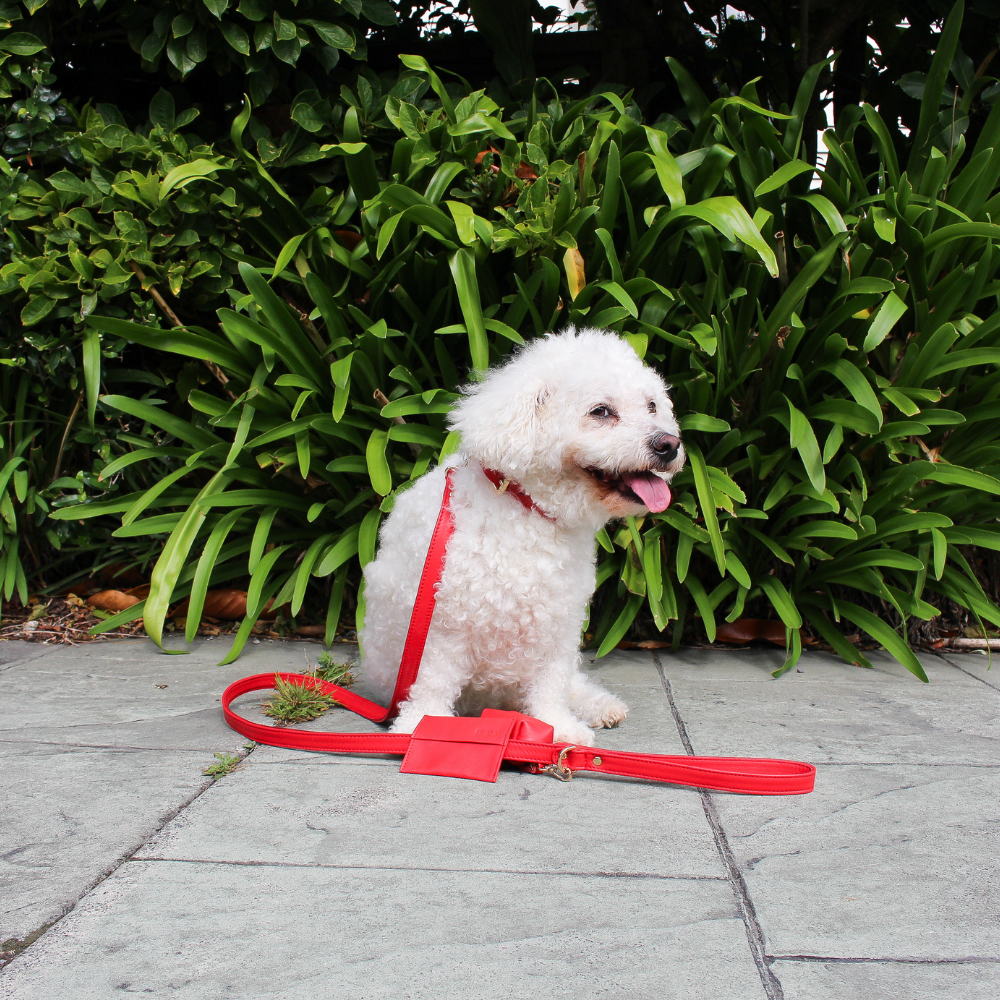 Red Dog waste Bag Holder