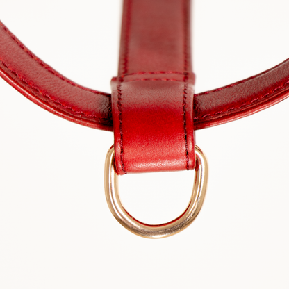 Ruby Red Leather Harness