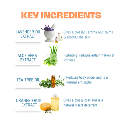 Dry Shampoo for Dogs