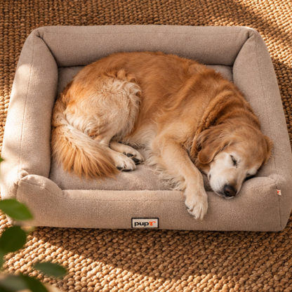 Vicky Dog Bed-Medium