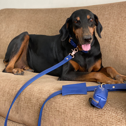 Sapphire Blue Dog Collar & Leash Set