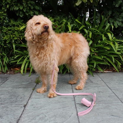 Pink Quartz Dog Collar & Leash Set