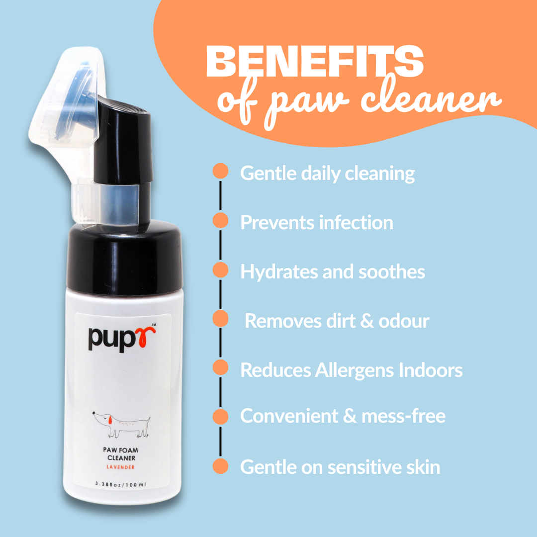 Dog Paw Foam Cleaner