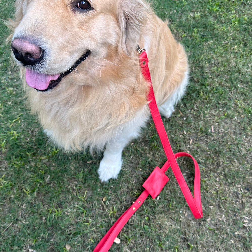 Red Dog waste Bag Holder