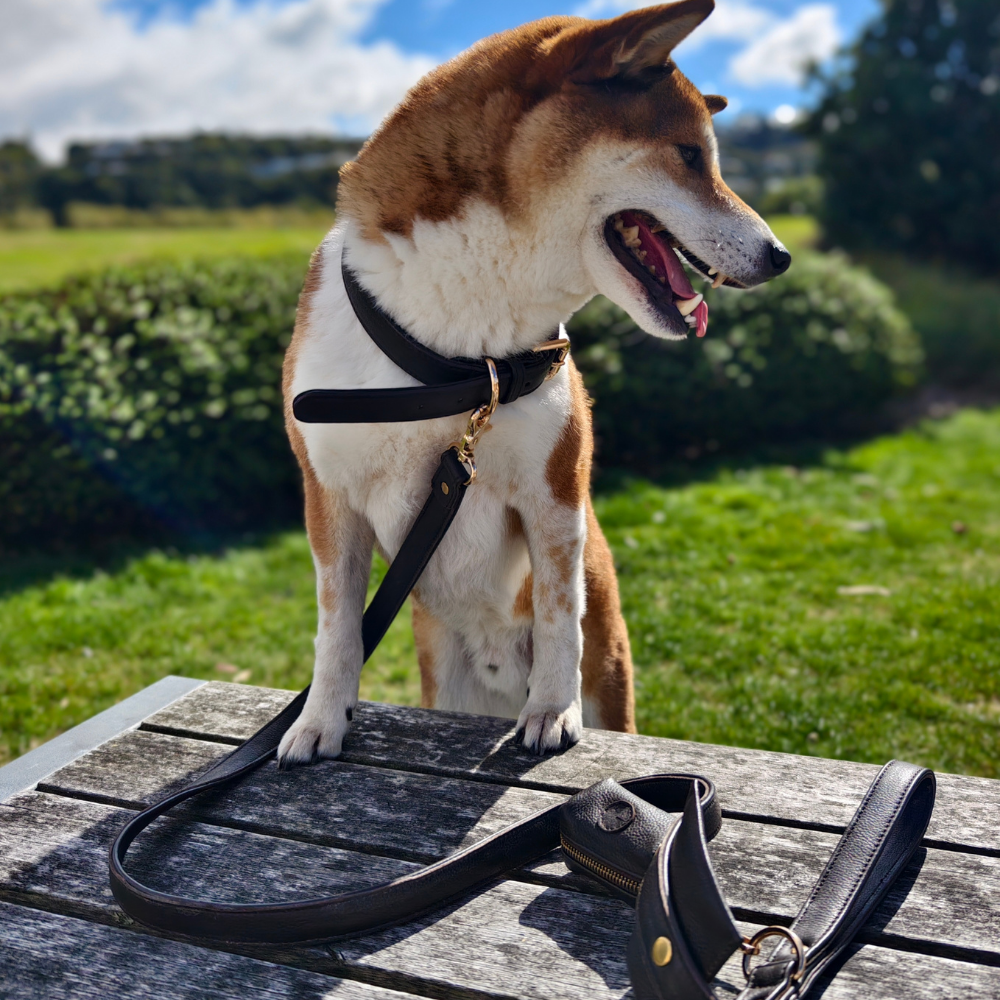 Brown Dog waste Bag Holder