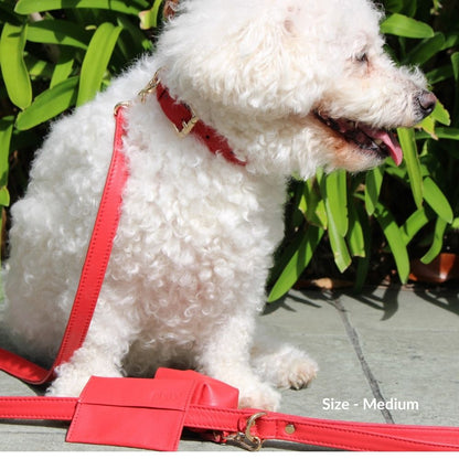 Red Dog Collar