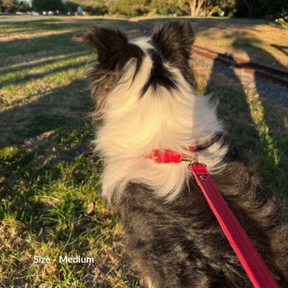 Red Dog Collar