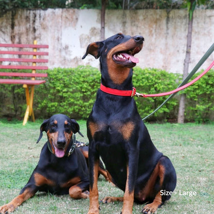 Red Dog Collar