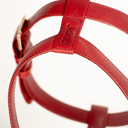 Ruby Red Leather Harness