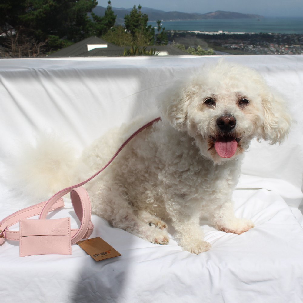 Pink Quartz Dog Collar & Leash Set
