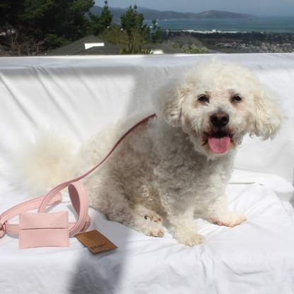 Pink Quartz Dog Collar & Leash Set