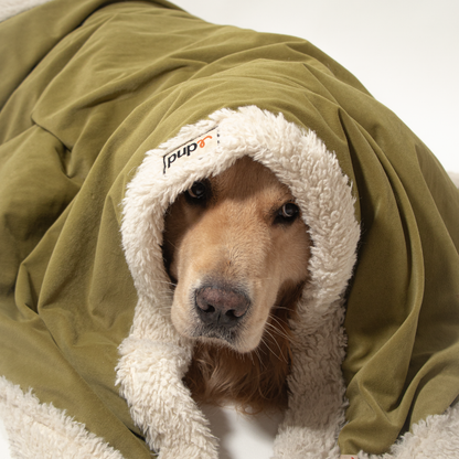 Olive Green Dog Blanket