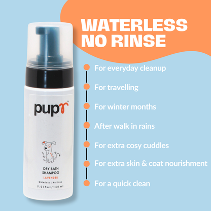 Dry Shampoo for Dogs