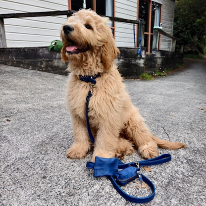 Sapphire Blue Dog Collar & Leash Set