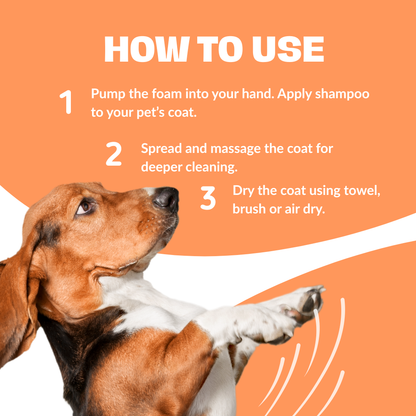 Dry Shampoo for Dogs