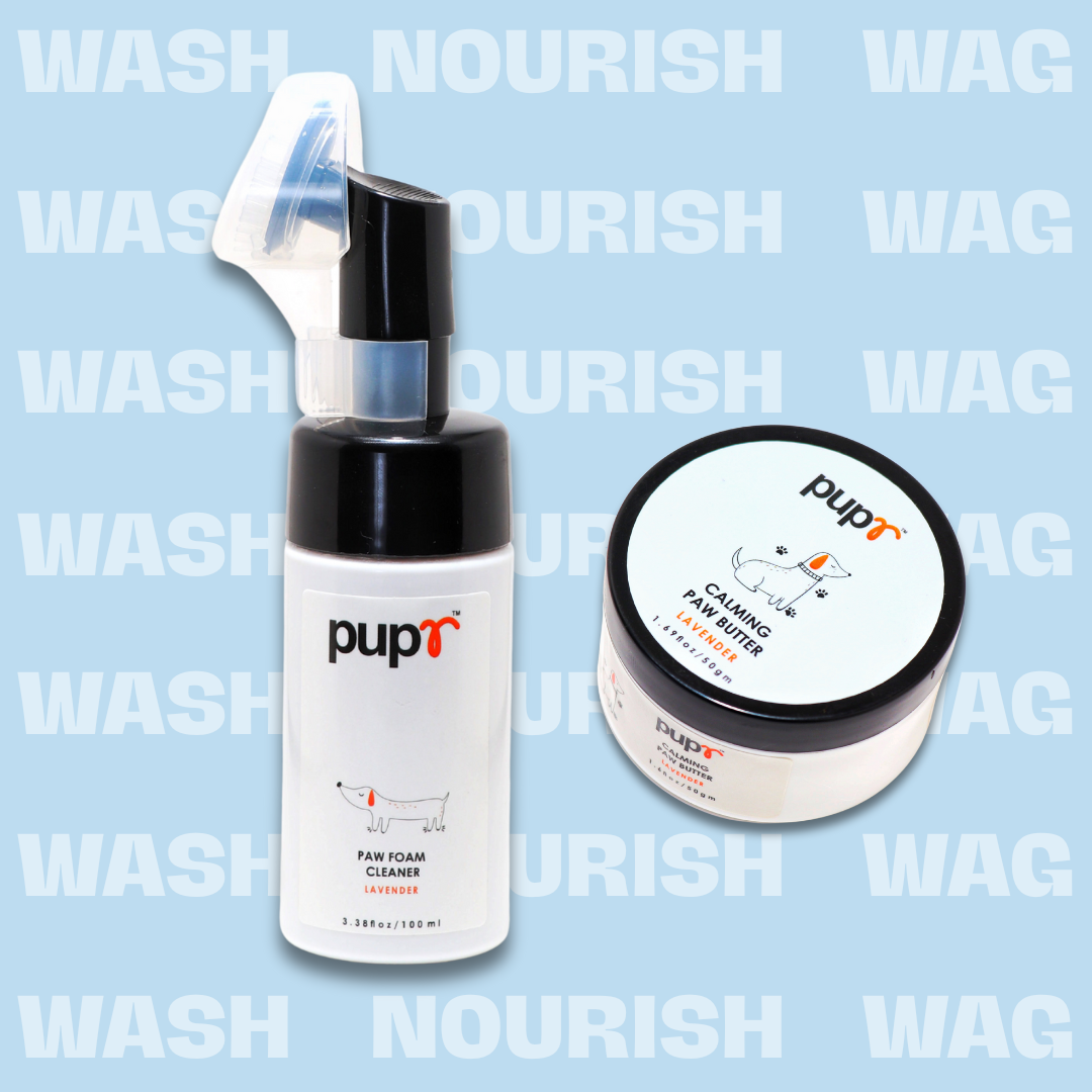 Dog Paw Foam Cleaner
