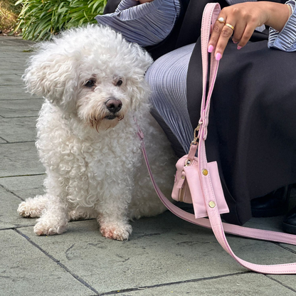 Pink Quartz Dog Collar & Leash Set