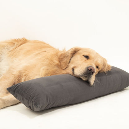 Grey Dog Pillow