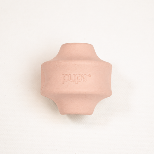 Truvo Dog Toy (Blush)