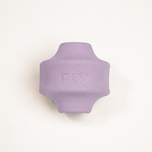 Truvo Dog Toy (Lavender)