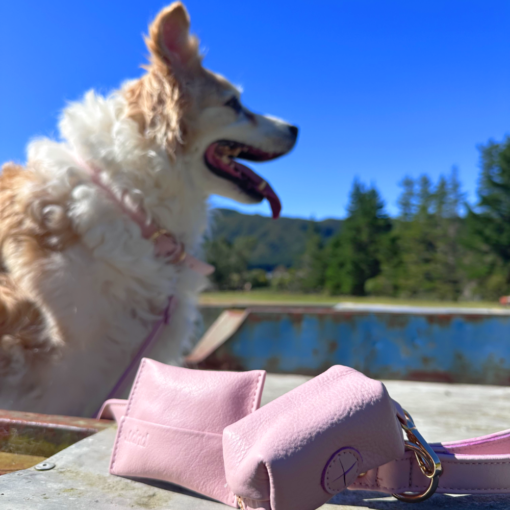 Pink Quartz Dog Collar & Leash Set