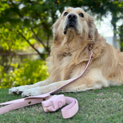 Pink Quartz Dog Collar & Leash Set