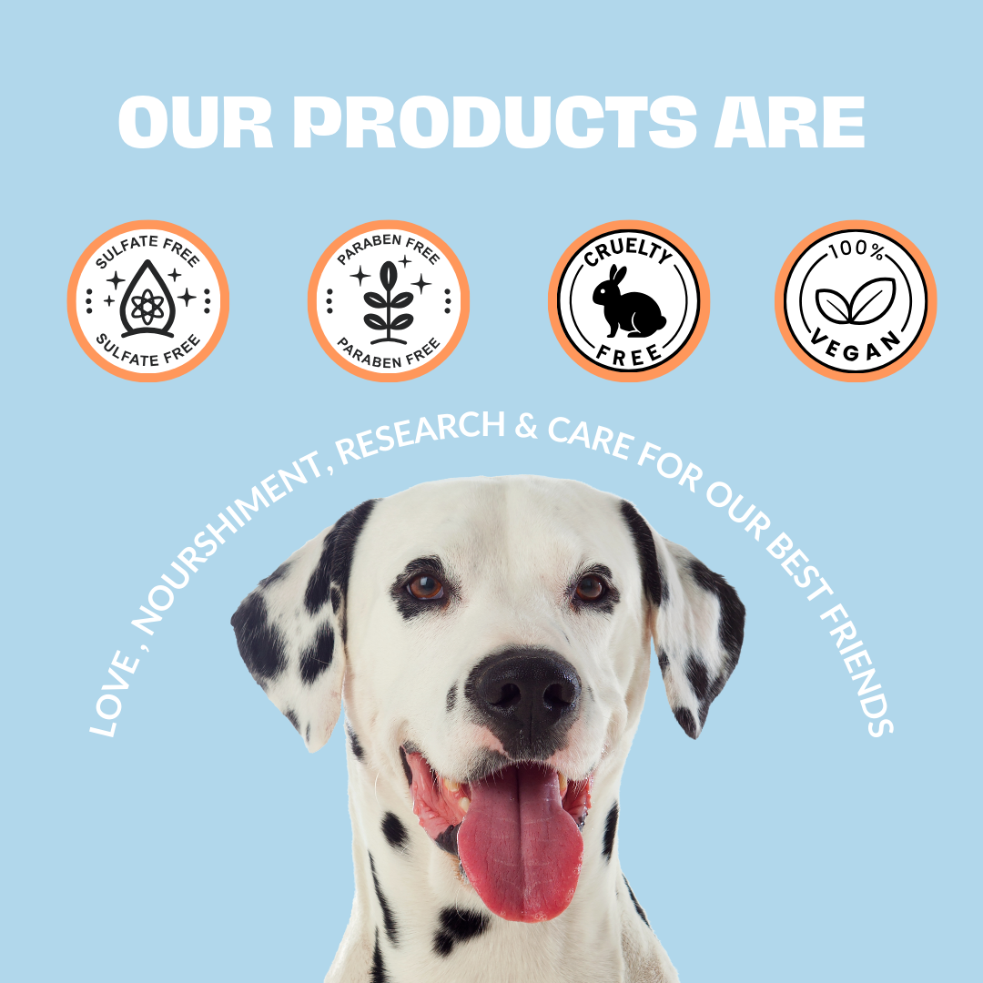 Dry Shampoo for Dogs