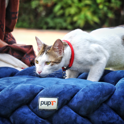 Bruno Dog Bed-Navy