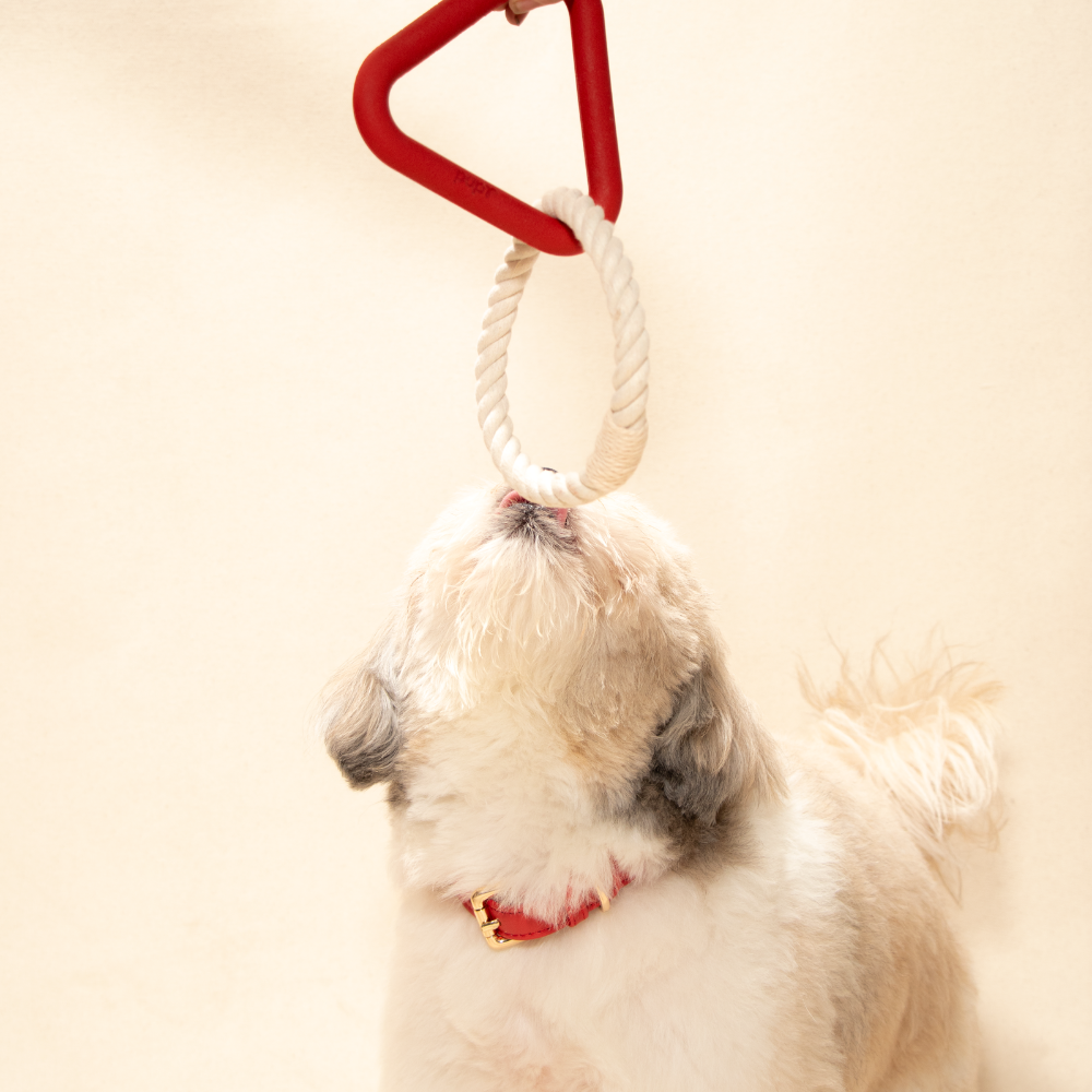 Tugra Dog Toy-Red