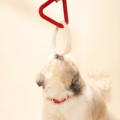 Tugra Dog Toy-Red