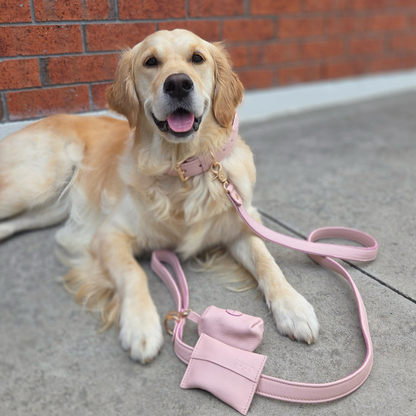 Pink Quartz Dog Collar & Leash Set