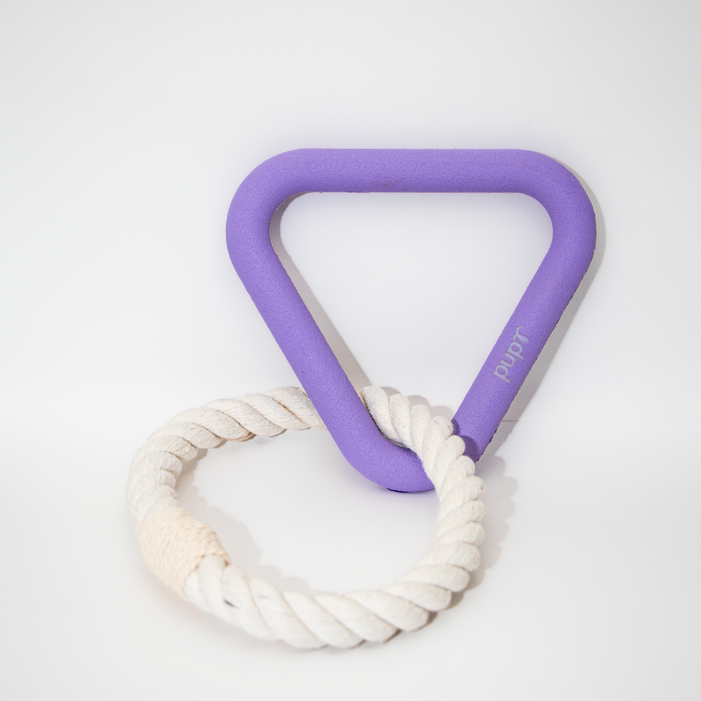 Tugra Dog Toy-Lavender