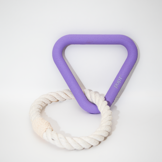 Tugra Dog Toy (Lavender)
