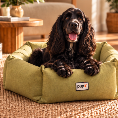 Alex dog Bed-Olive