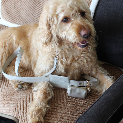 Moonstone Grey Dog Collar & Leash Set