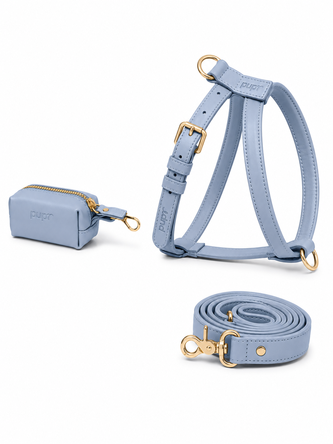 Aquamarine Blue Dog Harnesss Walk Set