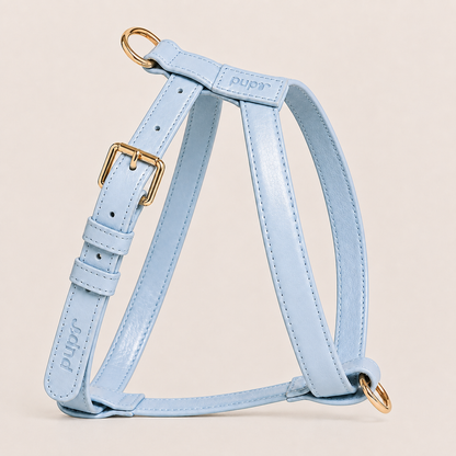 Blue Leather Harness
