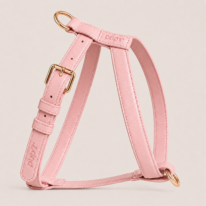 Blush Leather Harness