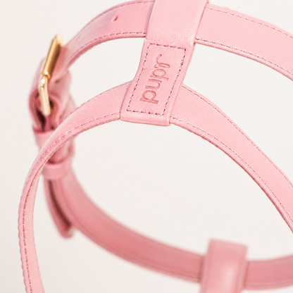 Blush Leather Harness