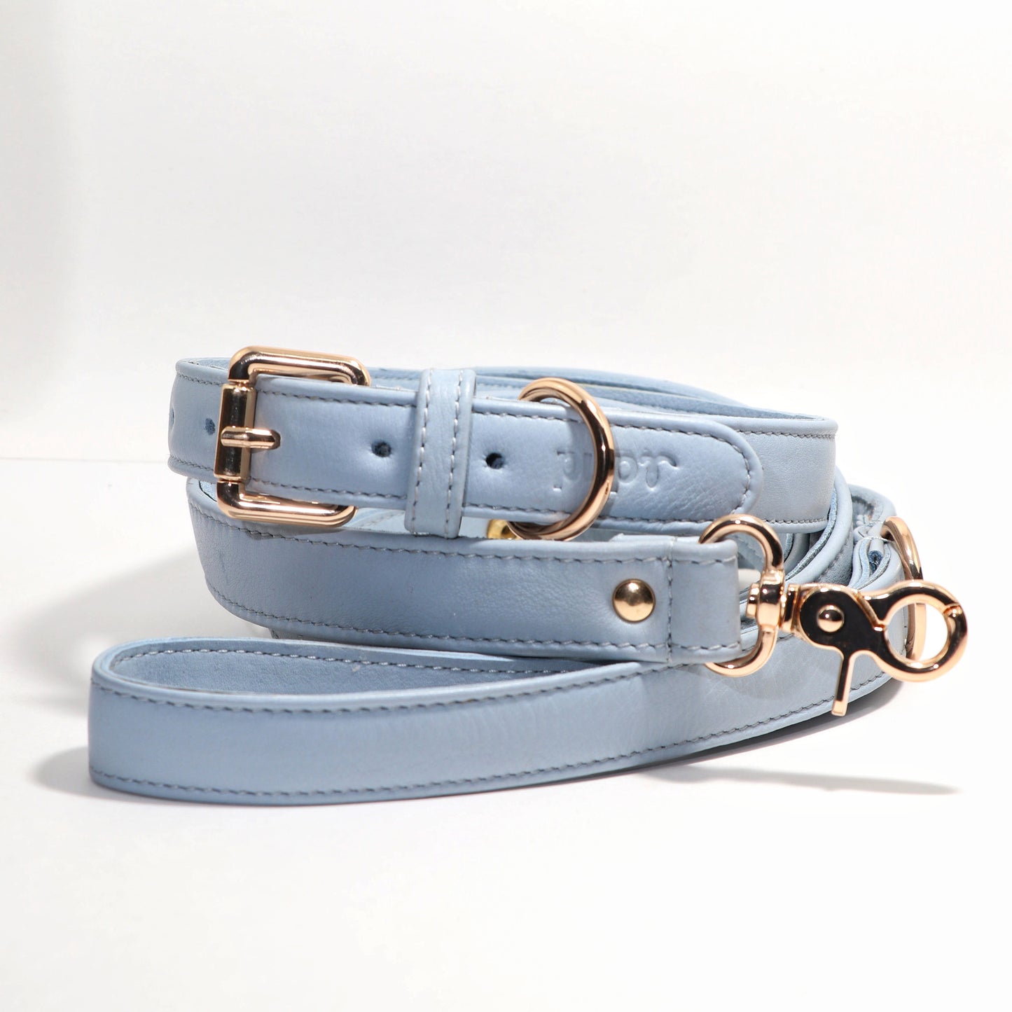 Aquamarine Blue Dog Collar & Leash set