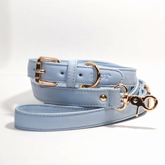 Aquamarine Blue Dog Collar & Leash set