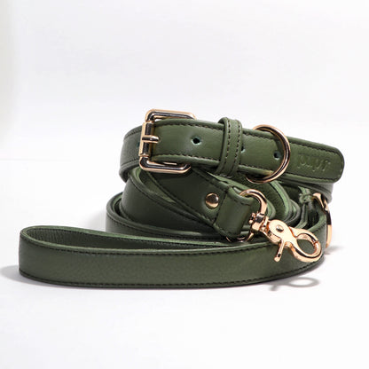 Jade Green Dog Collar & Leash Set