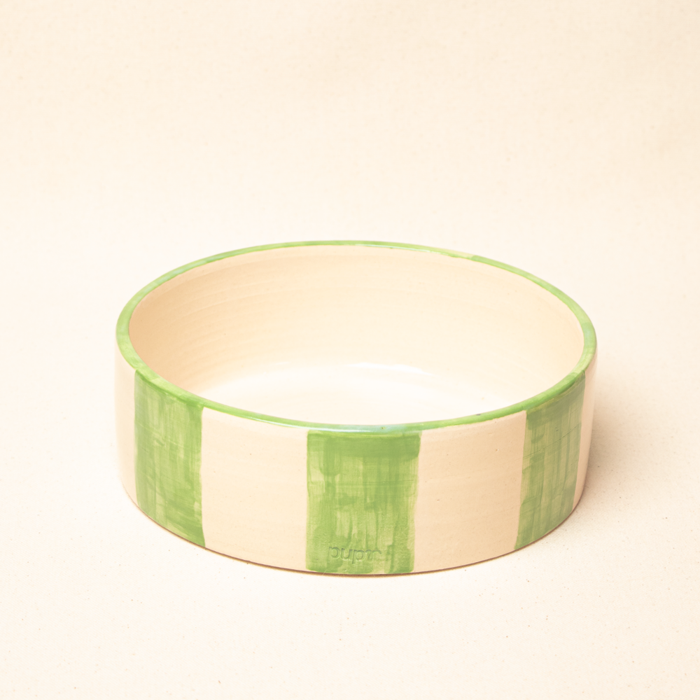 Green Dog Food Bowl