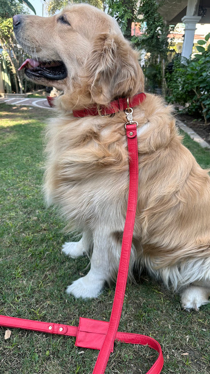 Collar - Red