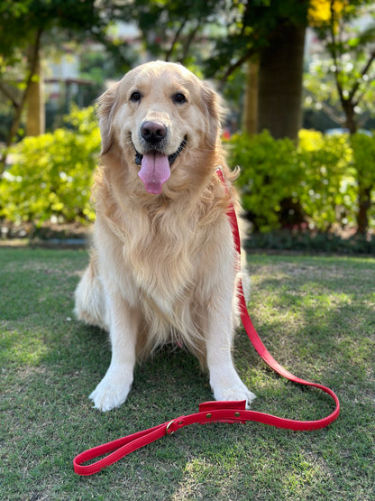 Dog Leashes(Red)