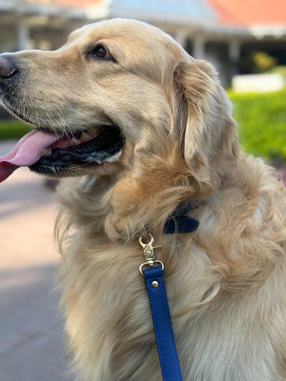 Dog Leashes(Navy Blue)